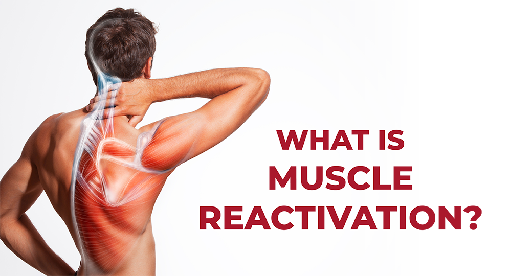 Understanding Muscle Reactivation