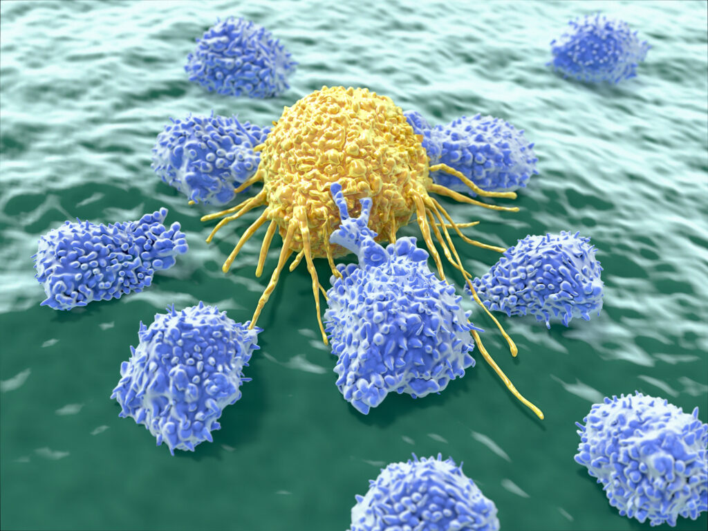 The Role Of Vitamin D In Autoimmunity Treatment Vitamin D in Autoimmunity